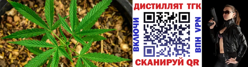 Дистиллят ТГК концентрат  как найти закладки  Камбарка 