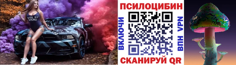 магазин продажи наркотиков  Камбарка  Псилоцибиновые грибы Cubensis 